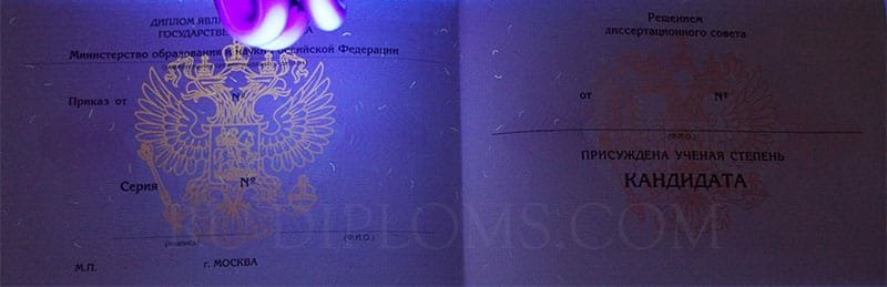 Диплом доктора наук, кандидата наук  